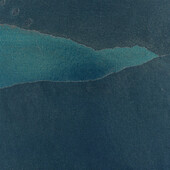 WHC1003